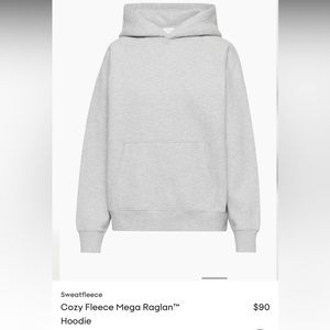 Aritzia TNA mega fit hoodie grey
